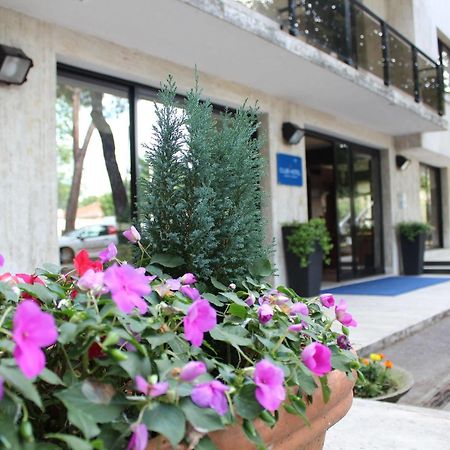 Club Hotel Mestre Exteriér fotografie